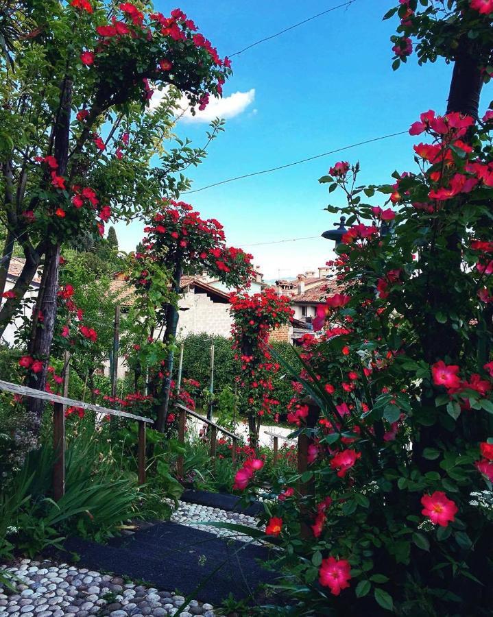 Casa Marinelli Hotel Farra di Soligo ภายนอก รูปภาพ
