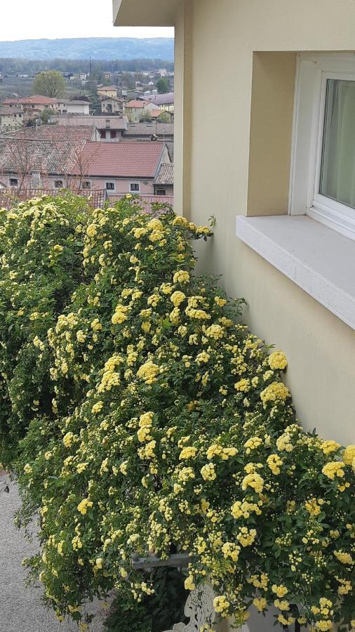 Casa Marinelli Hotel Farra di Soligo ภายนอก รูปภาพ